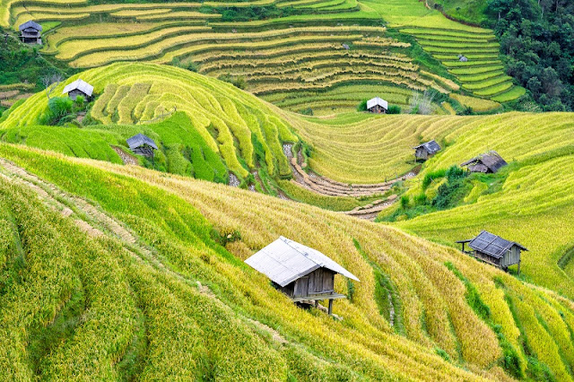 5 places you can not ignore to get the beautiful pictures in Sapa
