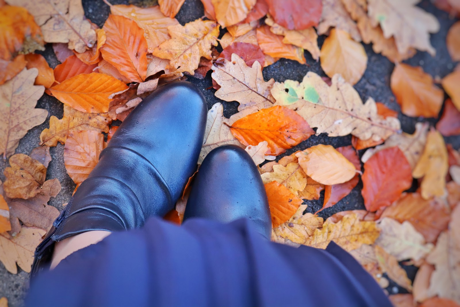 lotus navy boots