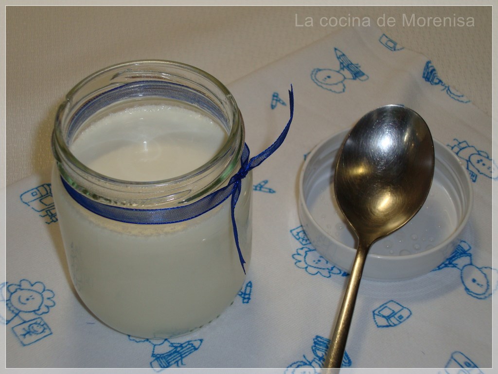 LA COCINA DE MORENISA Yogur Griego Casero