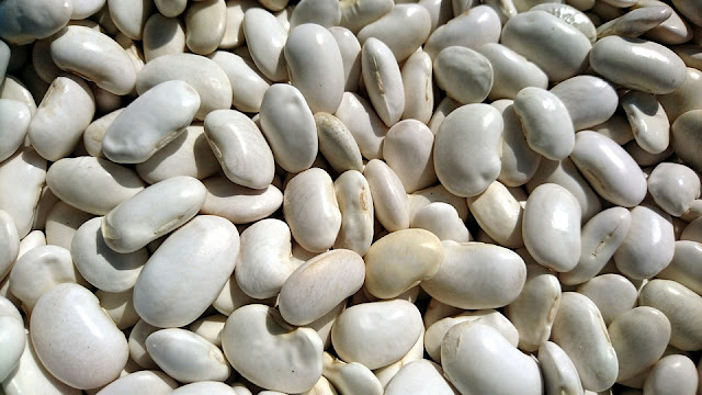 En Sağlıklı 10 Besin En Sağlıklı 10 Besin