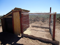 coop chicken earthbag northern mexico building