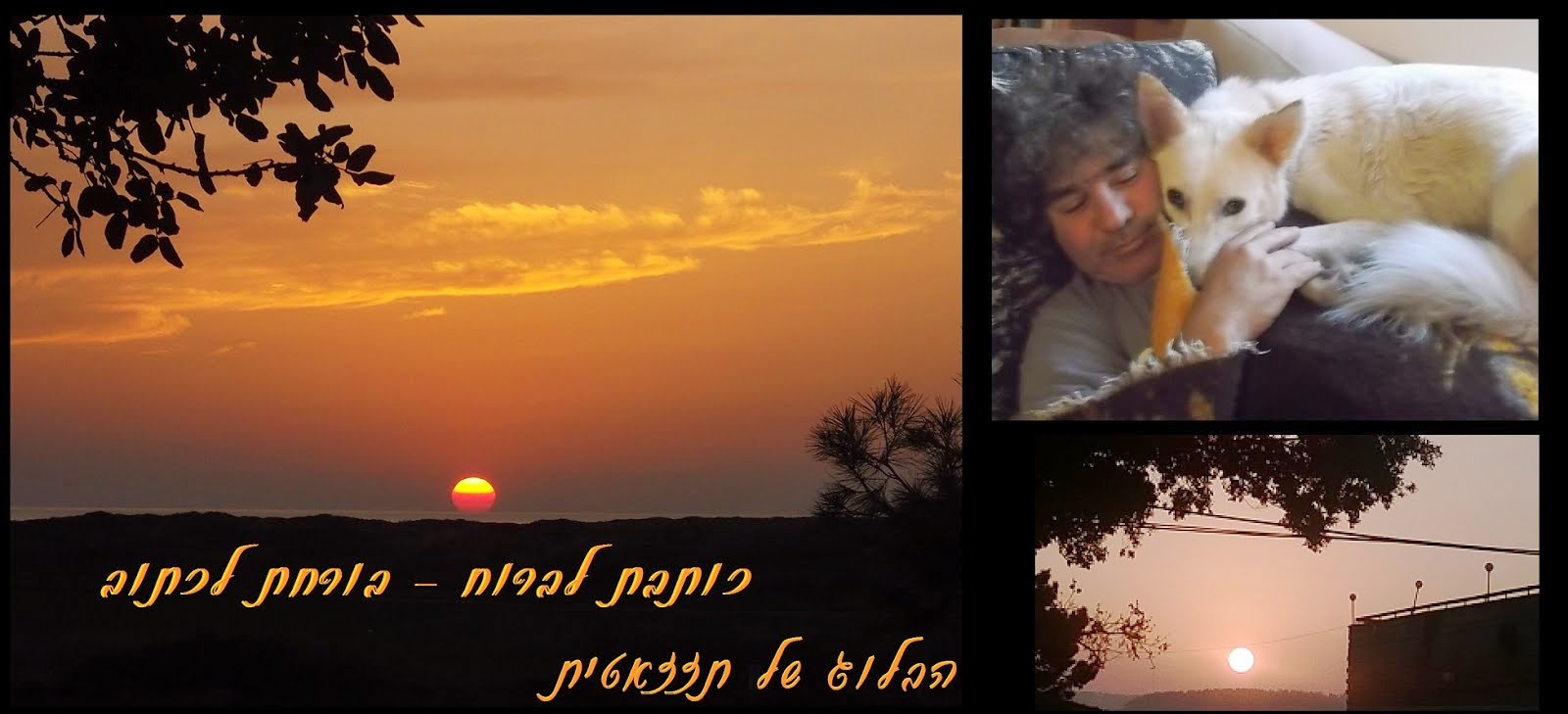 כותבת לברוח / בורחת לכתוב