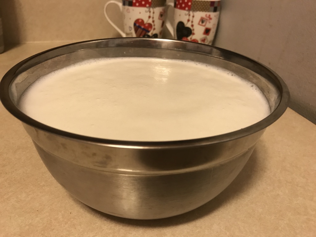 Viki 's Kitchen Indian curd yogurt