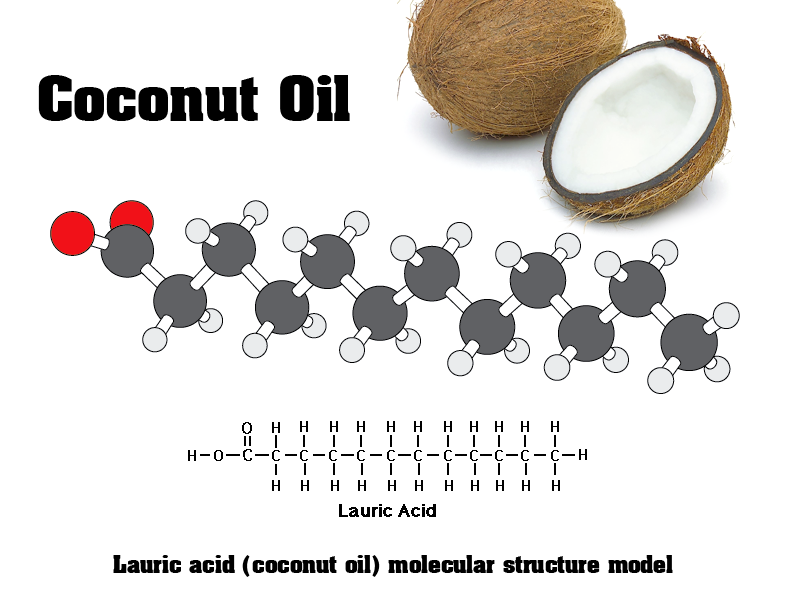 น้ำมันมะพร้าว มีกรดลอริก Lauric Acid คืออะไร?