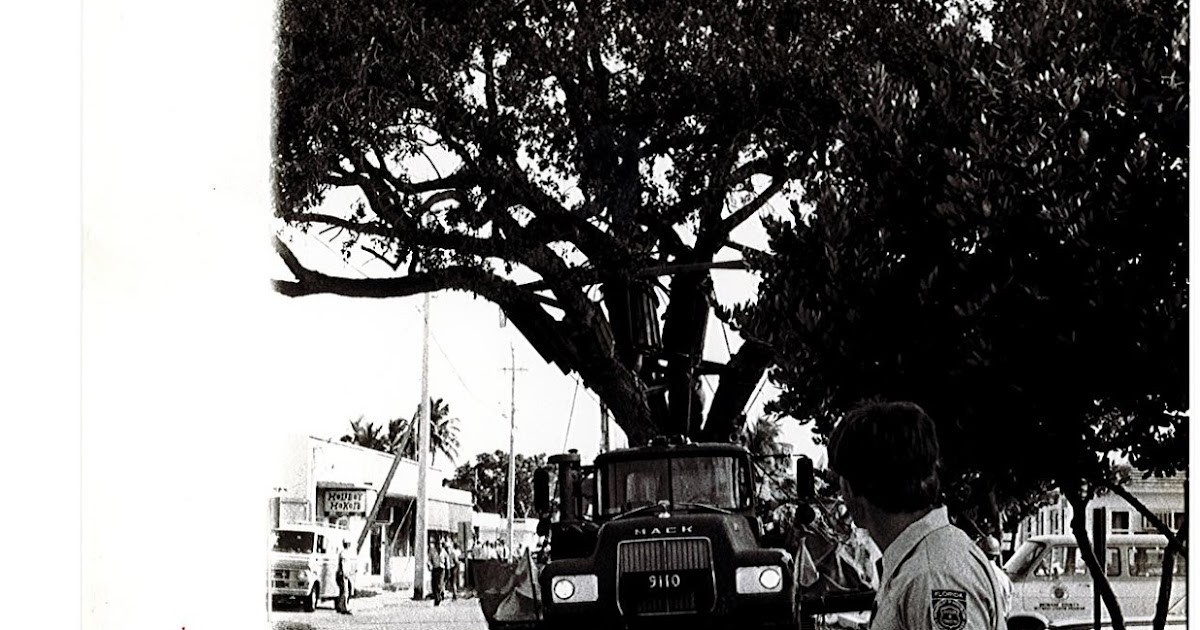 Mark's Urban Forest Fort Lauderdale's Historic Bicentennial Liberty