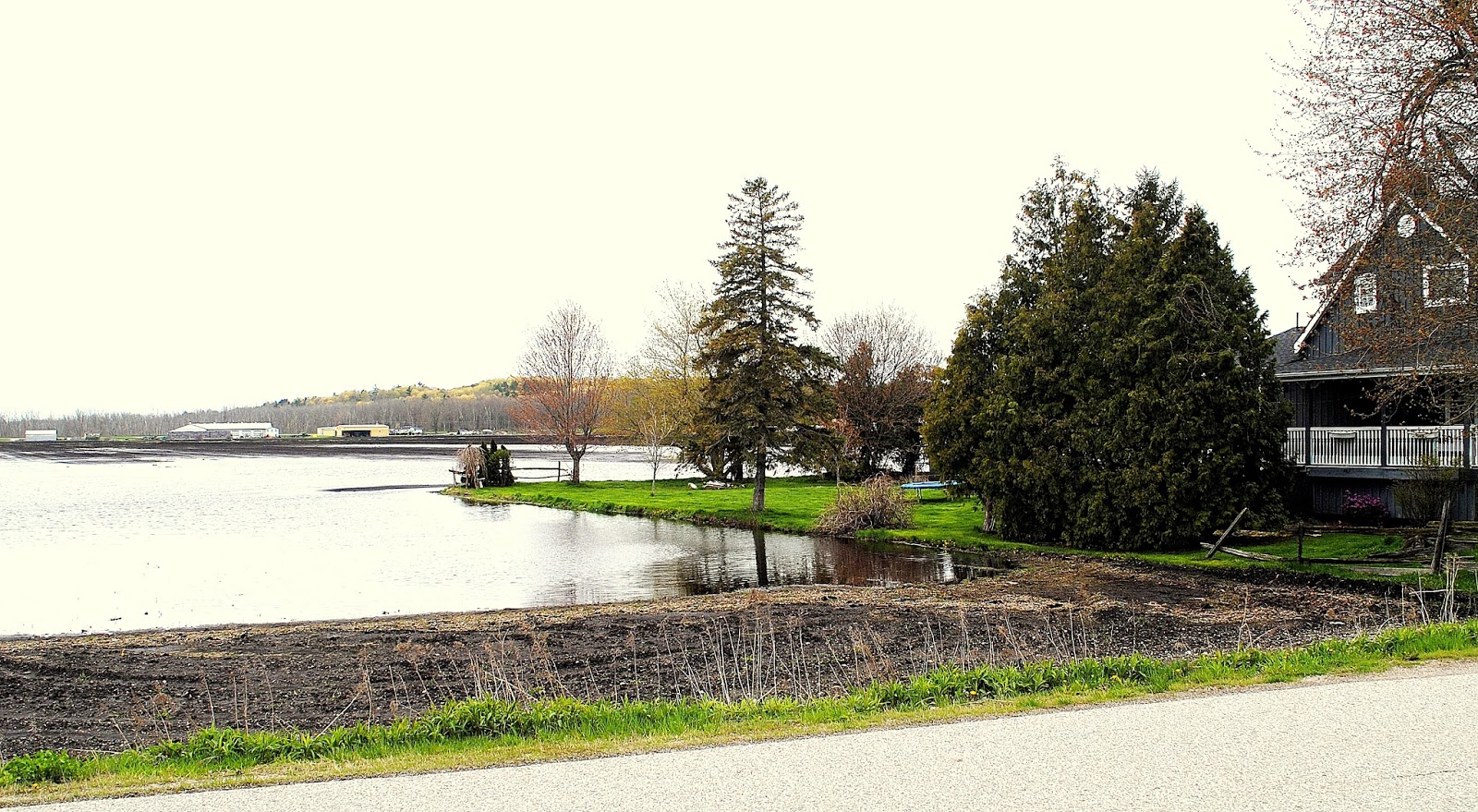 Camera on King & Aurora Holland Marsh after the rain
