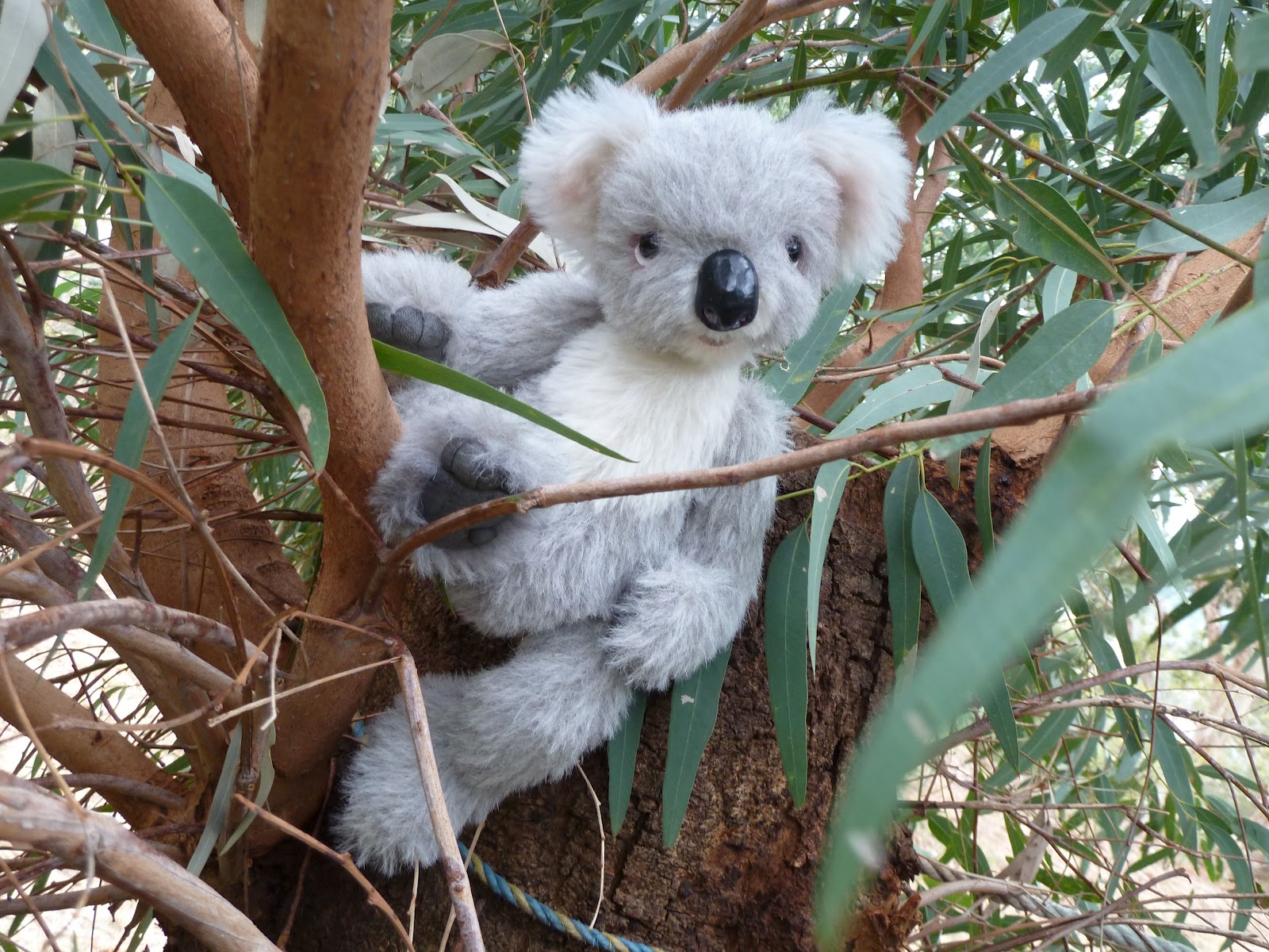 Kayzy's Critters Teddy Bears in the Hills the Koala Part 1