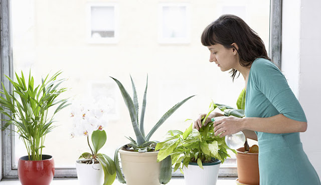 Indoor Kitchen Herb Garden Ideas Indoor Kitchen Herb Garden Ideas