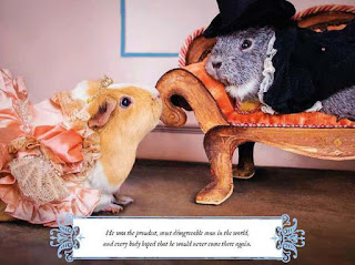 A Guinea Pig Pride & Prejudice - Mr Darcy and Elizabeth Bennet