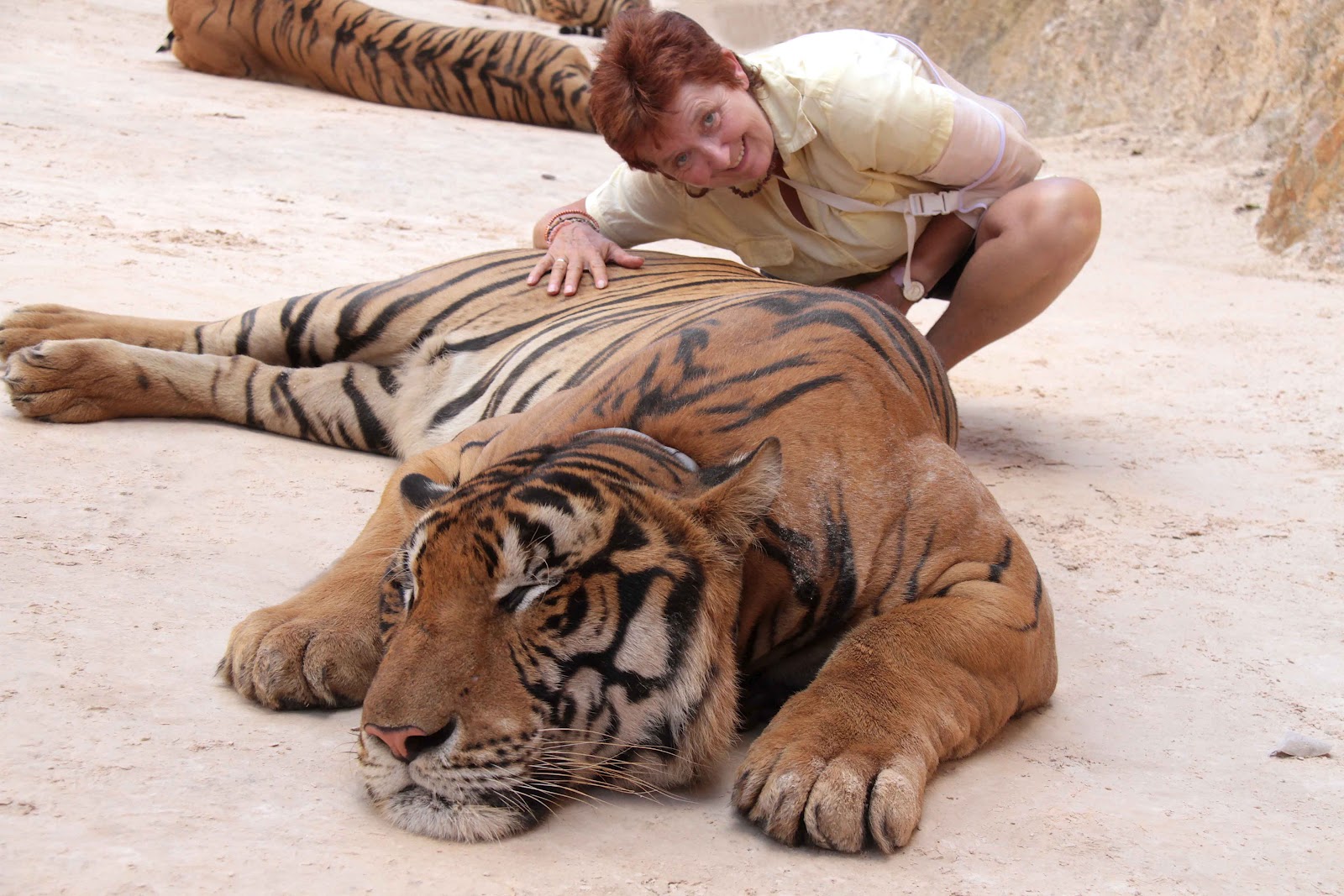 Seidenstrasse: Es geht weiter