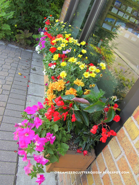Planting The Prettiest Window Box In Town #containergarden #windowbox #annuals