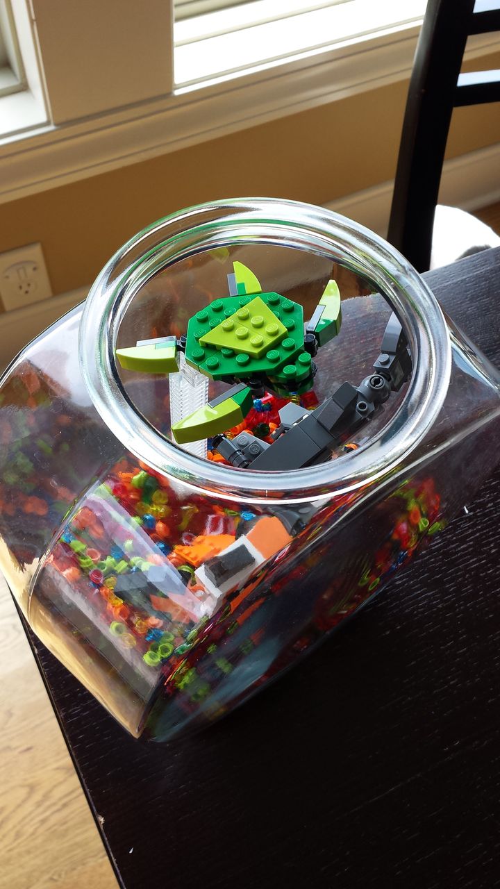 Soleful Suitcases Lego Fish Bowl
