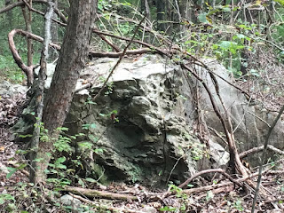 Boulder Protection, Cover, Boulders