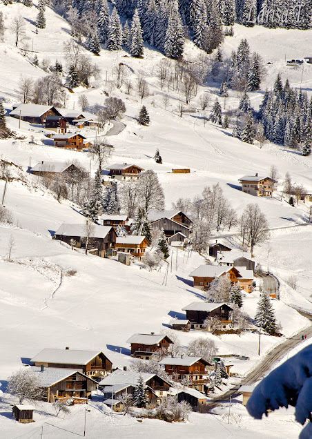 Lachat Muntii Alpi Savoie Franta