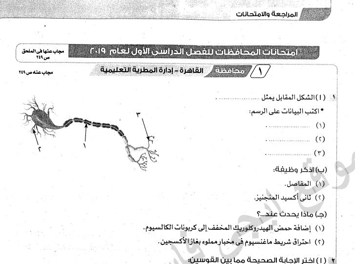 نماذج امتحانات الاضواء علوم الصف السادس الابتدائي الترم الاول 2020 ادارات العام السابق