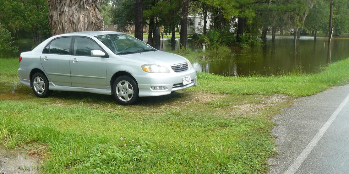 Surviving Harvey: 2017