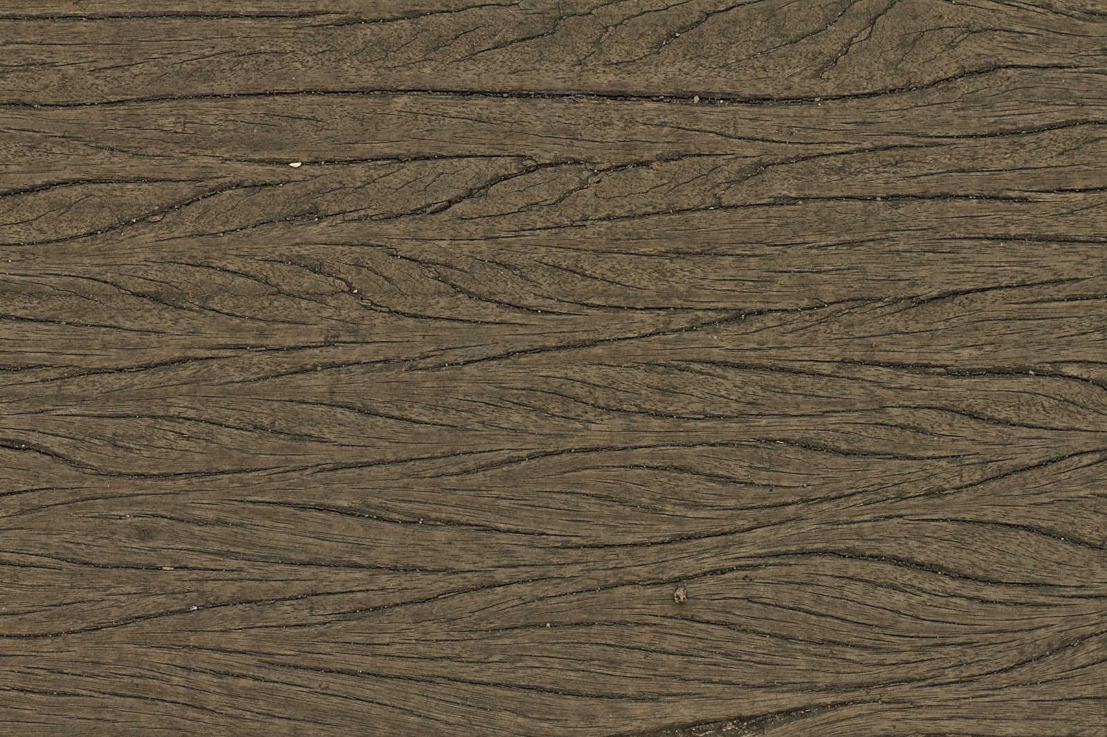 Wood dry cracked bench tree bark texture ver 6