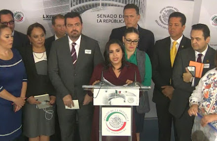 Hoteleros y empresarios cancunenses piden en el Senado intervención de Gobierno Federal contra sargazo