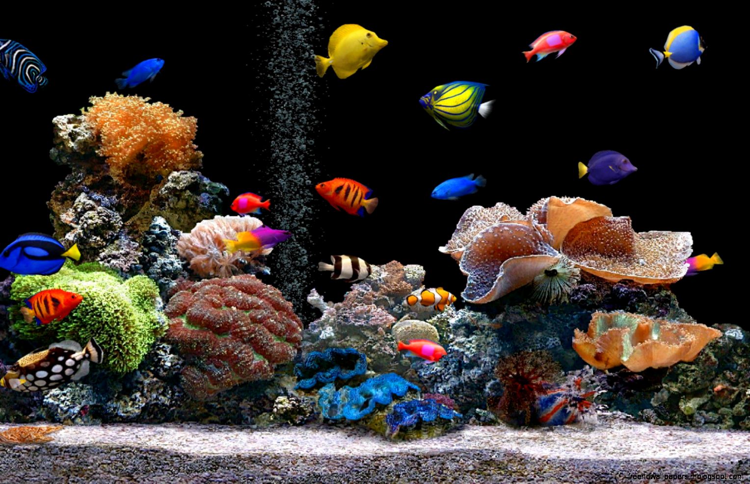 3D Aquarium Screensavers Wallpaper - 3D Fish Aquarium Screensaver Free Wallpaper Best Free Wallpaper