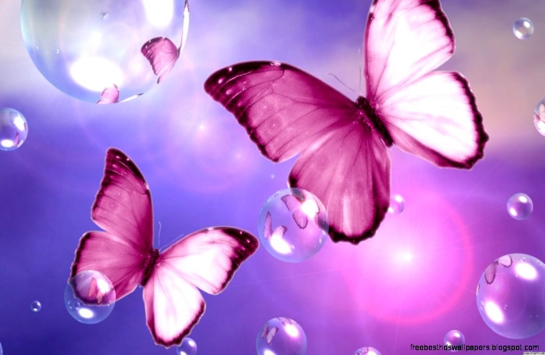 Download Beautiful Pink Butterfly Flower Wallpaper 1229x768  Full