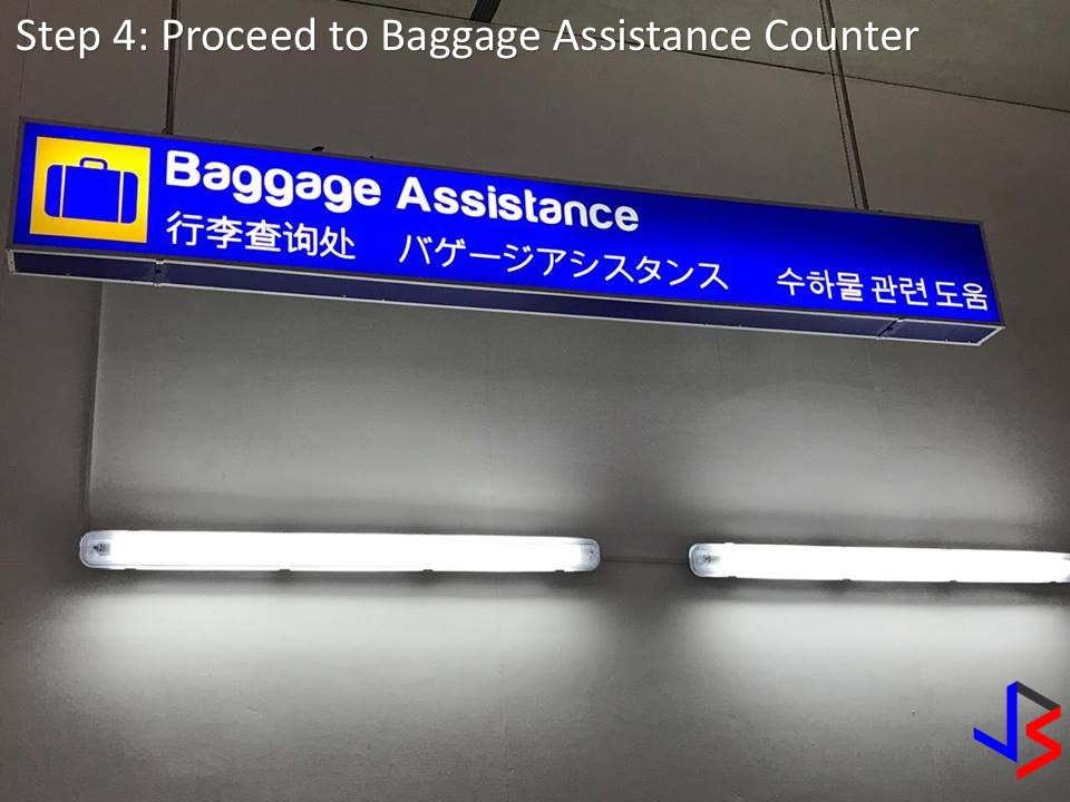 pal delayed baggage
