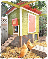 chicken clean priscilla coop refresh naturally cash coops