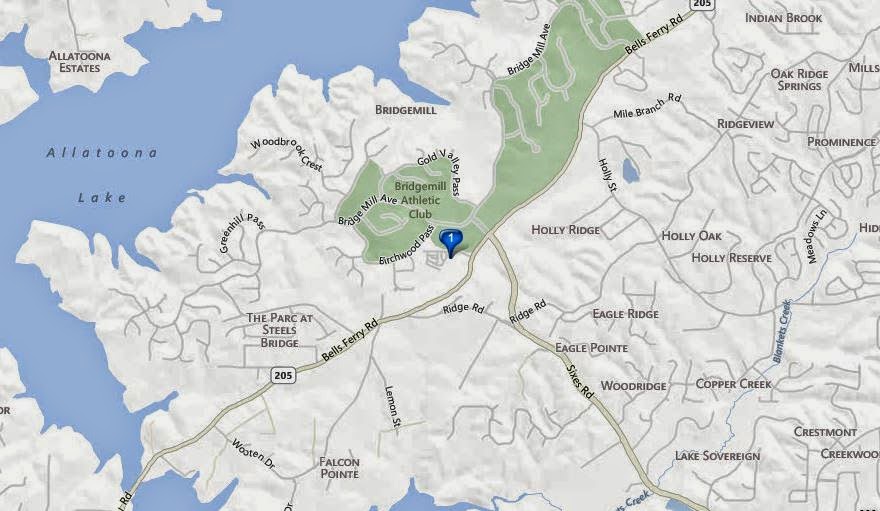 Overlook At Sixes Road Canton Luxury Townhomes In Overlook At