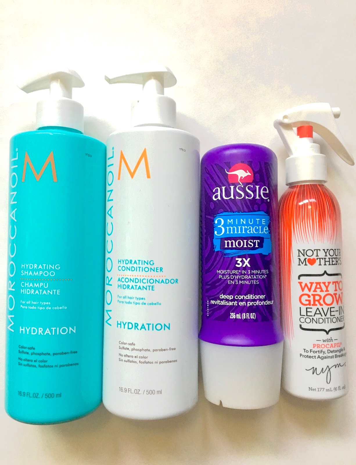 Danielle S Fashion Lifestyle Blog Hair Care Post