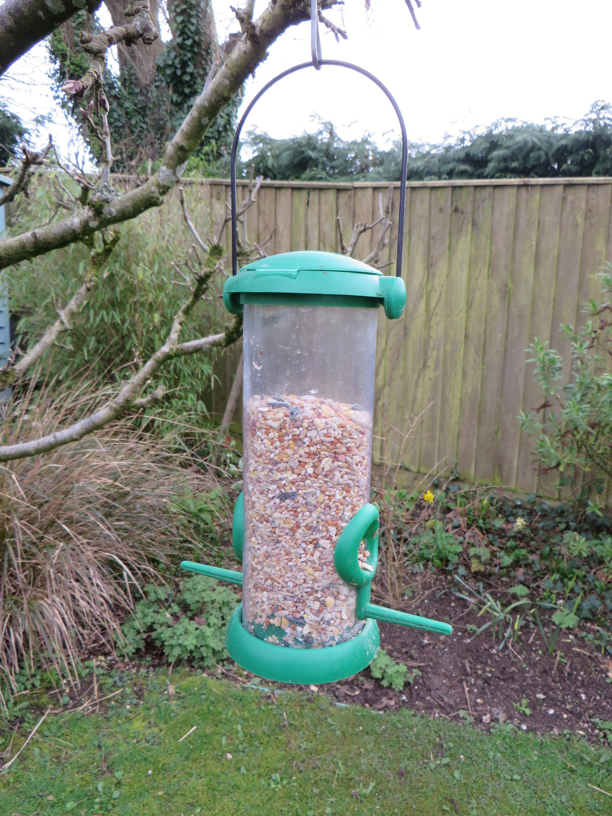 Feeding Garden Birds Mixed seed feeders