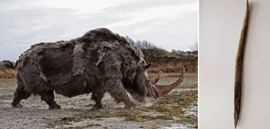 13.300 ετών δόρυ κατασκευασμένο από κέρατο ρινόκερου ανακαλύφθηκε στη Σιβηρία [Εικόνες]