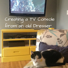 Creating a TV Console