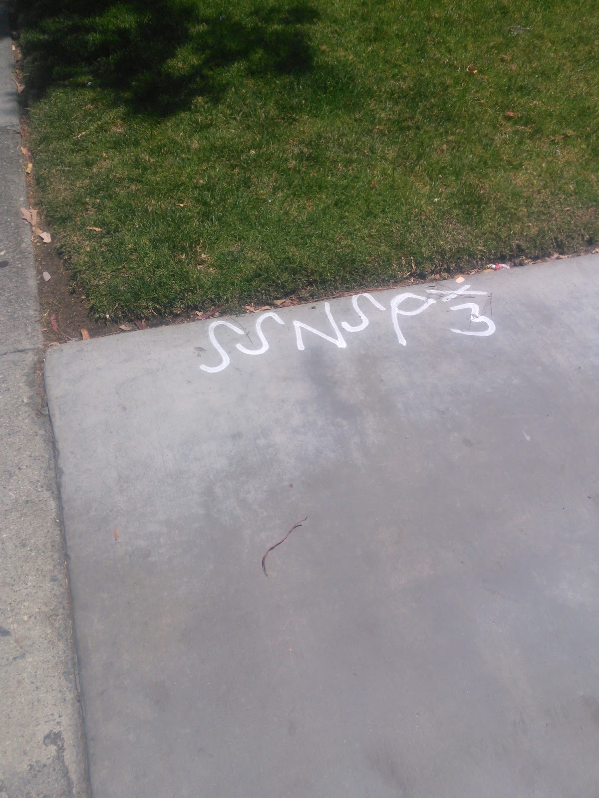 sureno 13 gangs graffiti North side paramount 13