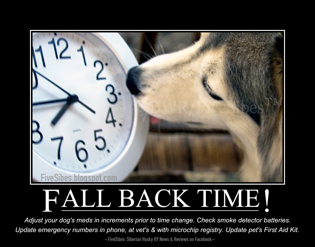 What Causes Seizures? Important Answers for Epilepsy Awareness Month