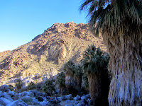 View east from Fortynine Palms Oasis, Joshua Tree National Park