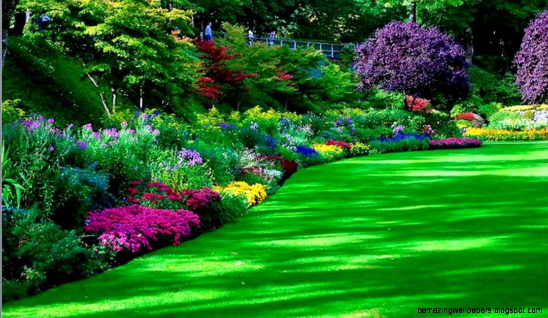 Beautiful Flower garden