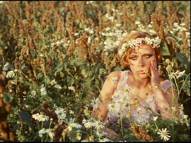 Daisies (1966) Movie Forums