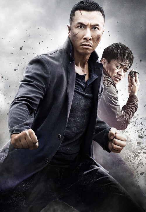 [VF] Kung Fu Jungle 2014 Streaming Voix Française