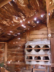 town chicken coop prairie brought farm