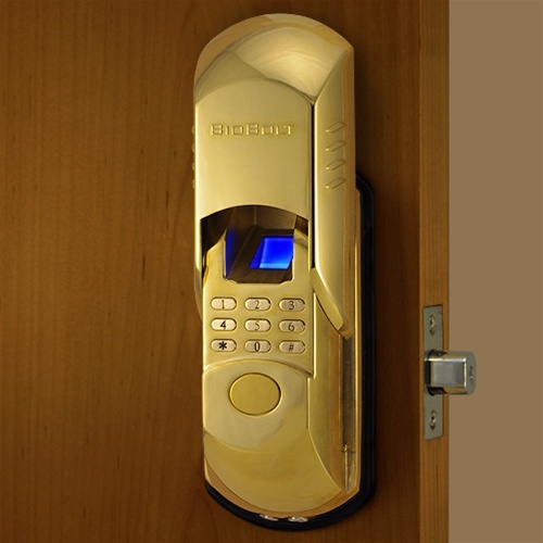 Hot Celebrity Biometric Door Locks! Are They Worth The Hype?