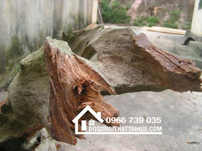 Hình ảnh gỗ ngọc am - Một số hình ảnh về gỗ quý ngọc am