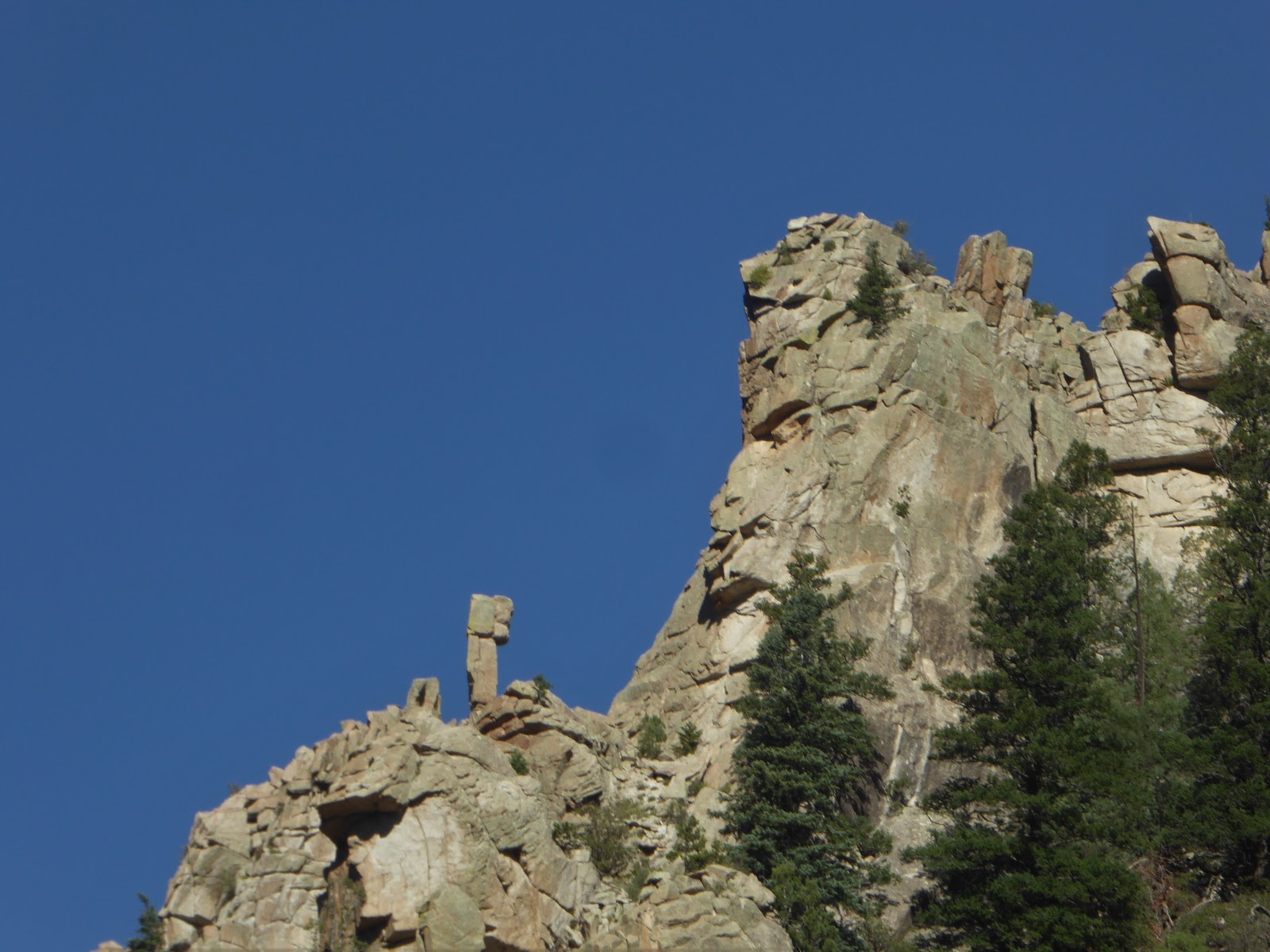 Trekking with the Bs Cimarron Canyon, New Mexico