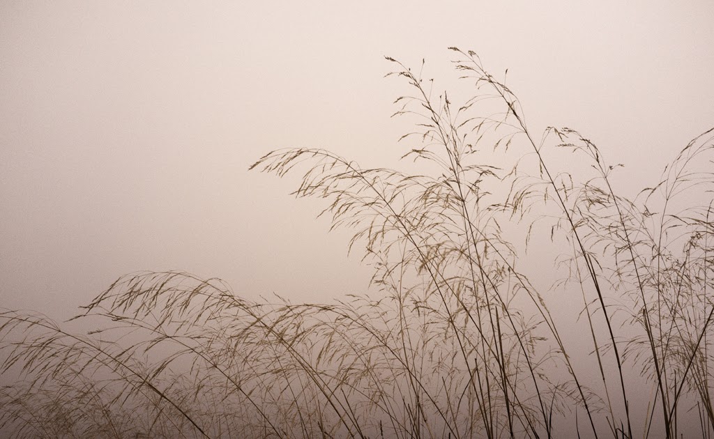 Planta 7ª ½ Polvo en el