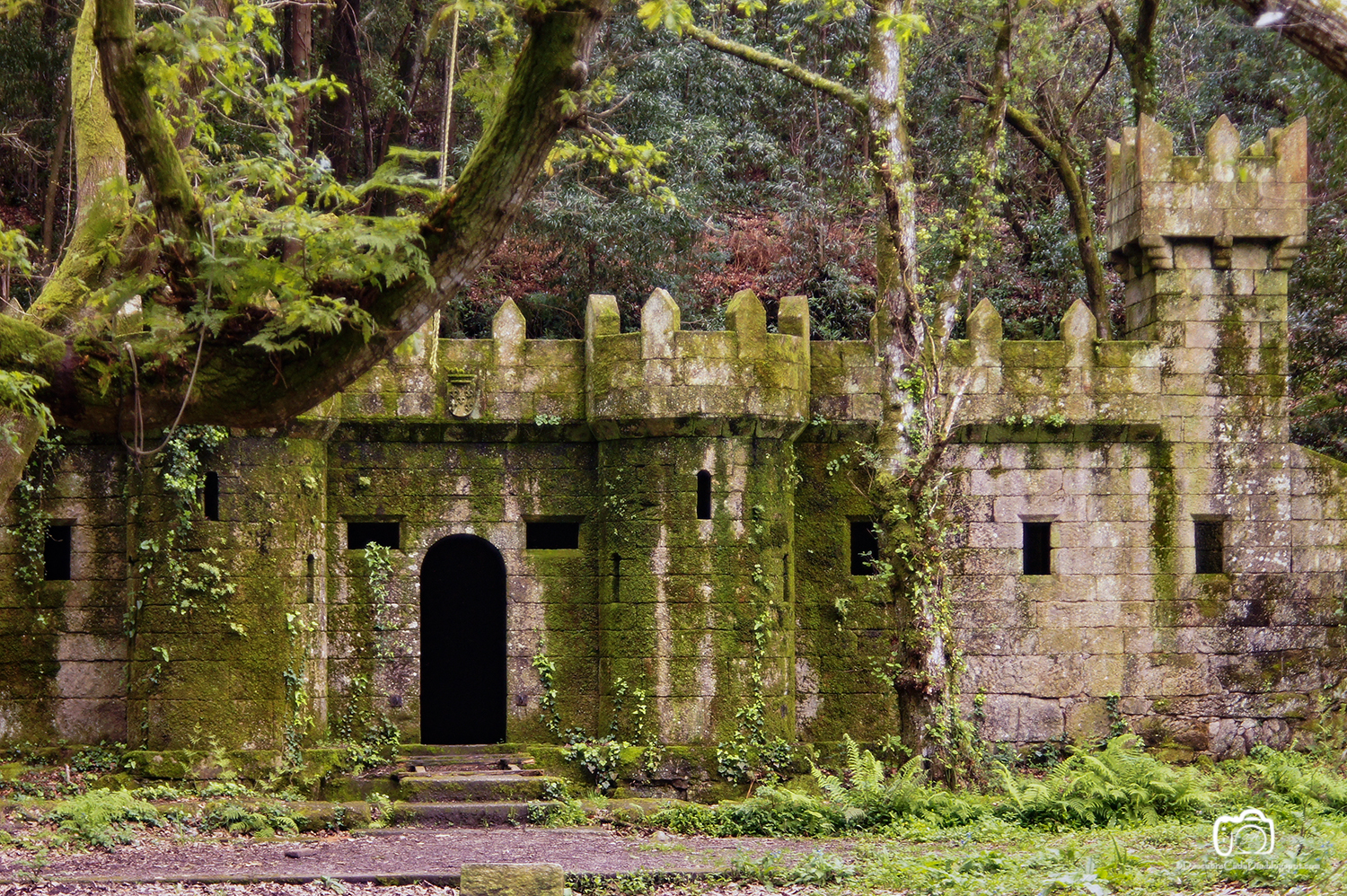 DESCUBRE Cada Día... Bosque encantado de Aldán Finca Frendoal