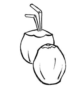 desenho de coco fresco