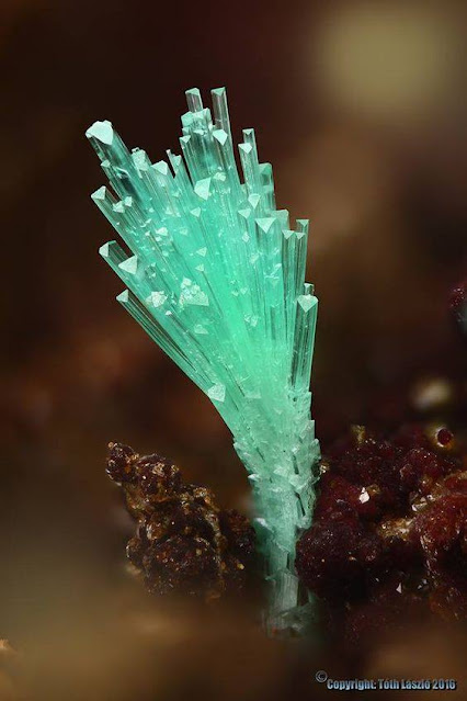 Splendid Olivenite Crystals