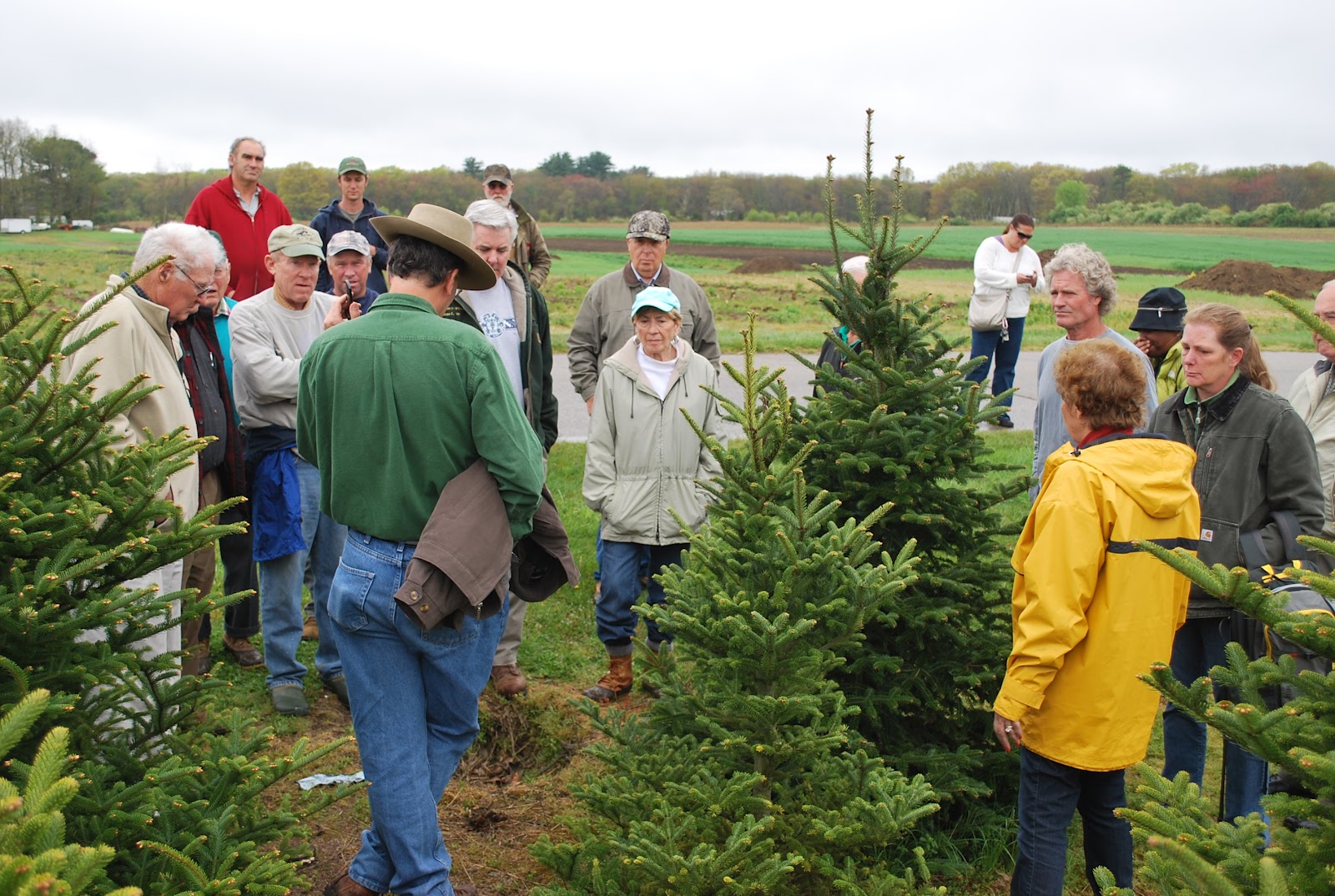 RI Christmas Tree Growers