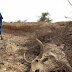WORST DROUGHT IN HORN OF AFRICA