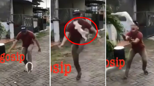 Seperti Kesetanan, Pemuda ini Hajar Anak Kucing Layaknya Bola Sepak, Lihat Videonya