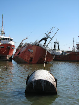 Holberg, el buque que se hundio dos veces