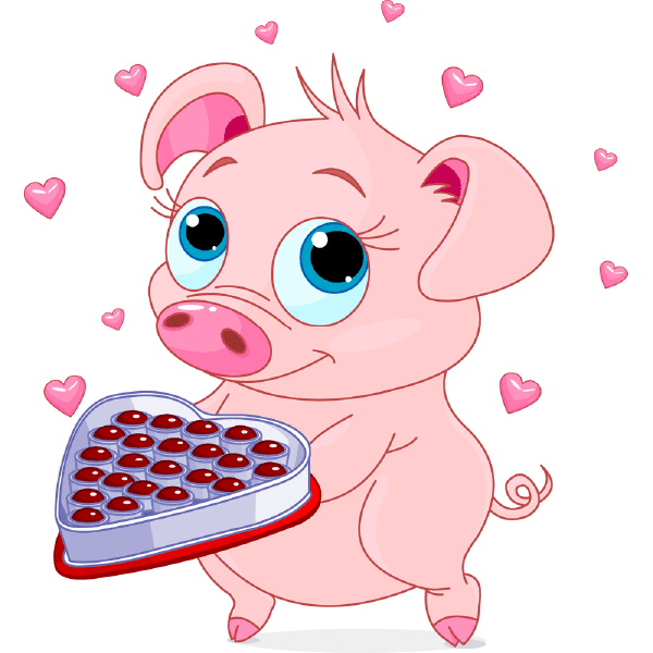 Piggy with Chocolates